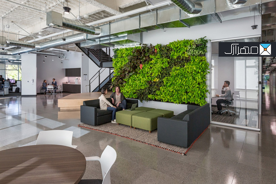 طراحی دیوار سبز در دفتر کار